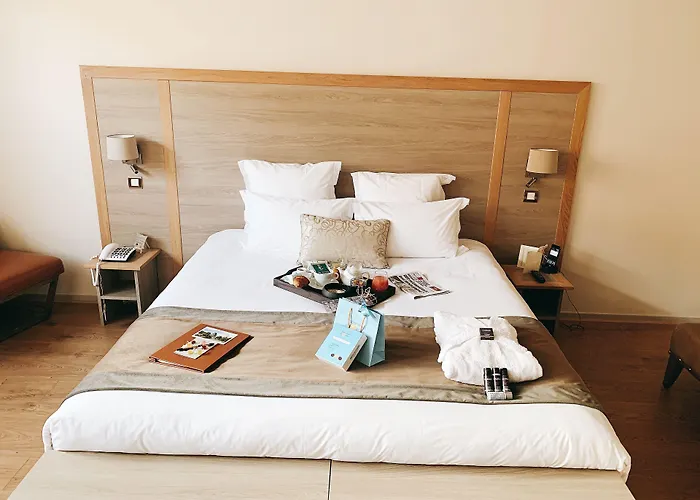 Hotel Vatel 4*